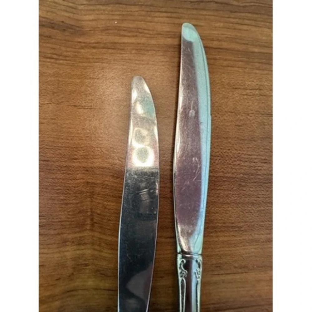 Oneida Dover Stainless Flatware Set 2 Dinner Knives Ornate Floral Design Elegant